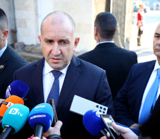 Президентът: Само партията, която лично аз обявя, може да бъде моя партия