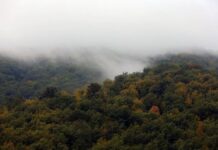 Мъгливо и облачно в събота, температурите ще са до 9°