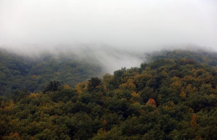 991-ratio-planina-mygla