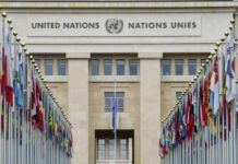 ООН препоръча омбудсманът и заместникът му да бъдат извадени от „домовата книга”