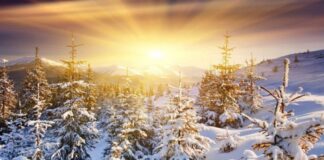 Проф. Рачев: В края на януари ще видим температури от 15-16°, та дори се мъдрят и едни 17°