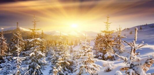 Проф. Рачев: В края на януари ще видим температури от 15-16°, та дори се мъдрят и едни 17°