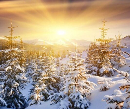 Проф. Рачев: В края на януари ще видим температури от 15-16°, та дори се мъдрят и едни 17°