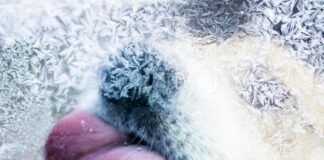 Градусите падат до минус 4° във вторник