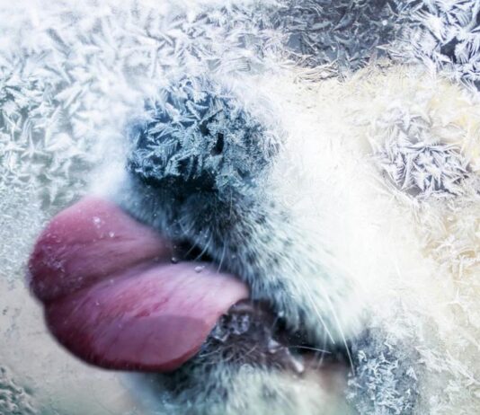 Градусите падат до минус 4° във вторник