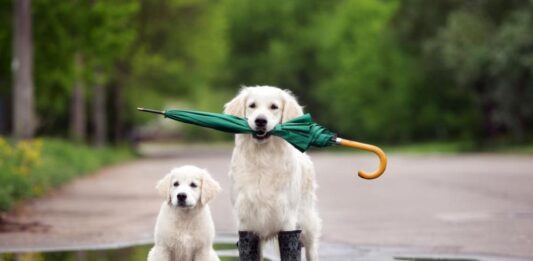 Седмицата започва с температури до 13°, на места ще има и превалявания