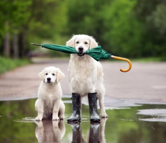 Седмицата започва с температури до 13°, на места ще има и превалявания