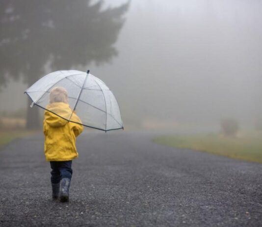 Студено време с валежи и силен вятър през следващите дни