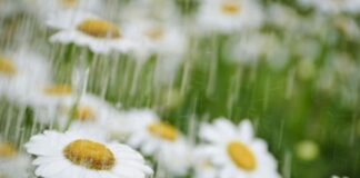 Пролет с есенен привкус: Седмицата започва с дъжд, вятър и ниски температури