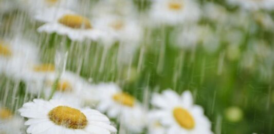 Пролет с есенен привкус: Седмицата започва с дъжд, вятър и ниски температури