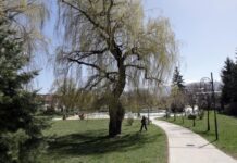 Предимно слънчево и до 17 градуса