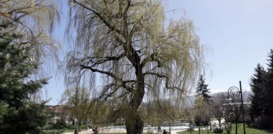 Предимно слънчево и до 17 градуса