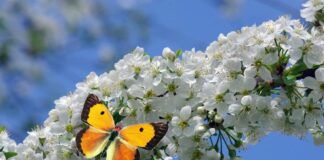 Слънчев понеделник: Температурите достигат 25° преди очакваното застудяване