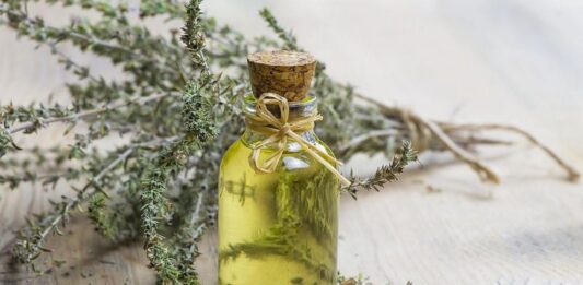 Билките на дълголетието: Древни тайни за модерно здраве