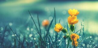 Времето се обръща с дъжд, вятър и гръмотевици – какво ще е в деня на вота