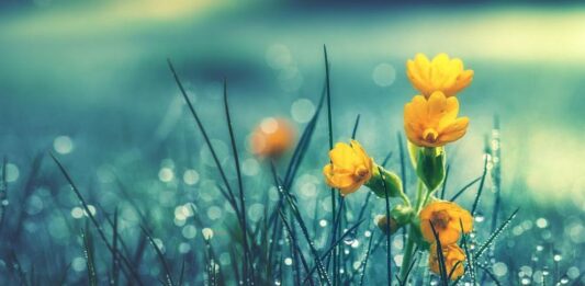 Времето се обръща с дъжд, вятър и гръмотевици – какво ще е в деня на вота