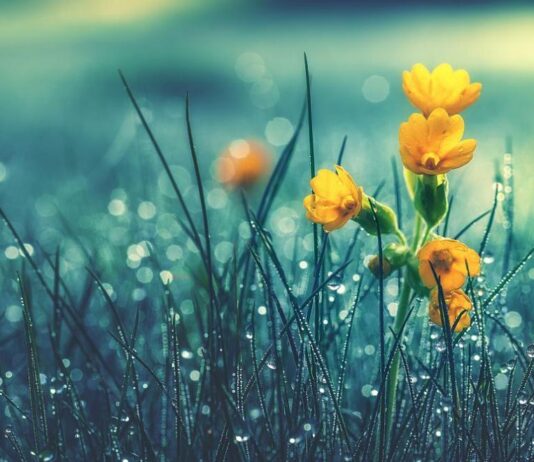 Времето се обръща с дъжд, вятър и гръмотевици – какво ще е в деня на вота