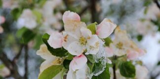 Внимание, слана: Жълт код за отрицателни температури в 7 области (КАРТА)