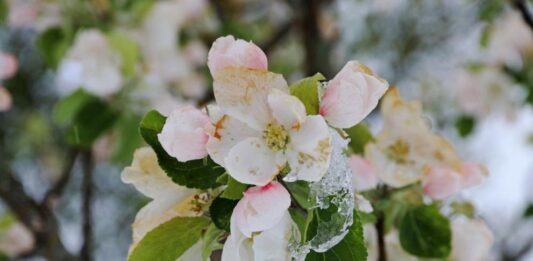 Внимание, слана: Жълт код за отрицателни температури в 7 области (КАРТА)