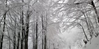 Сняг затрупа прохода „Петрохан“: Шофирайте внимателно и със зимни гуми