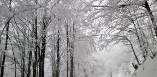 Сняг затрупа прохода „Петрохан“: Шофирайте внимателно и със зимни гуми