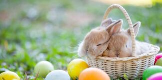 Слънце и температури до 18 градуса на Великден