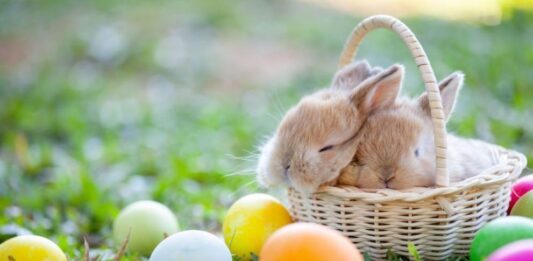 Слънце и температури до 18 градуса на Великден