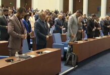 Минута мълчание за загубените детски животи: Парламентът почете жертвите на вчерашната трагедия на пътя