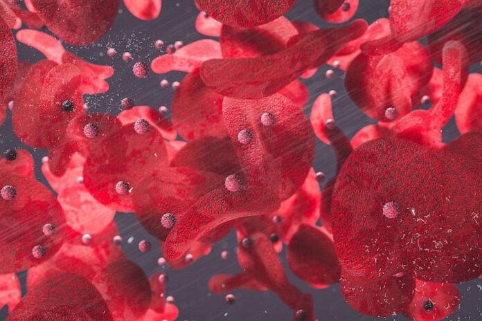 991-ratio-t-kletki-virus