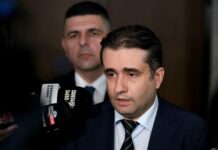 Мирчев: Ще наблюдаваме леко драскане по мафията, а трябва да има истинско дране