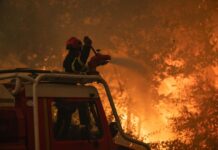 190 пожара за денонощие: Сърбия продължава битката с огнената стихия