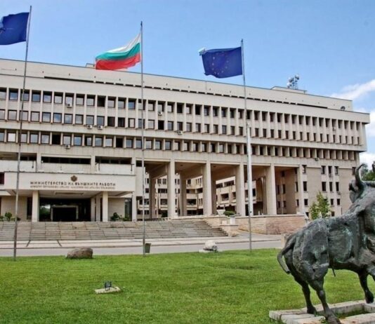 Външният министър се срещна с майката на Ива Михайлова, увери я в подкрепата на България по казуса