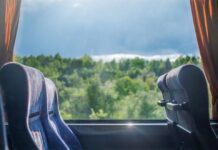 Временна автобусна линия ще осигурява достъп до „Новата гора на София“ край Банкя