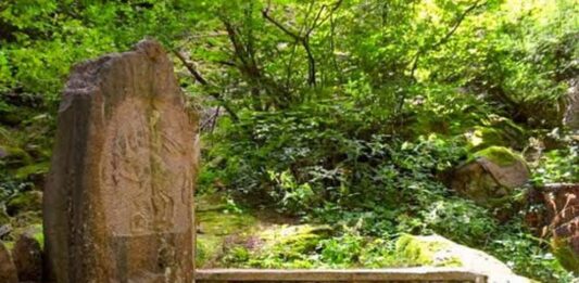 Мистерията на Балиевата вода: Легендата за лековитите извори, скрити в Родопите