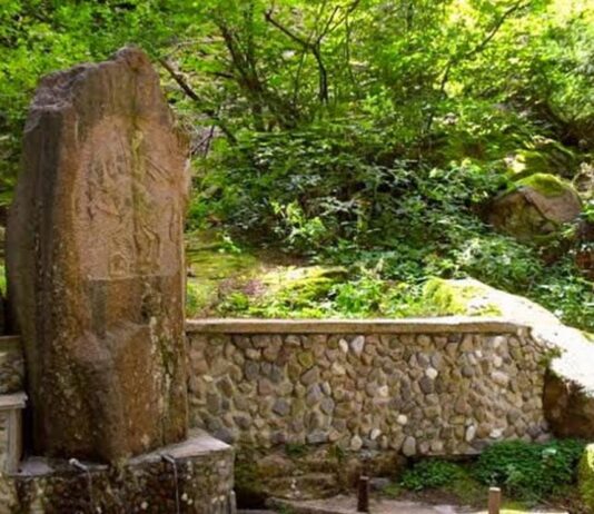 Мистерията на Балиевата вода: Легендата за лековитите извори, скрити в Родопите